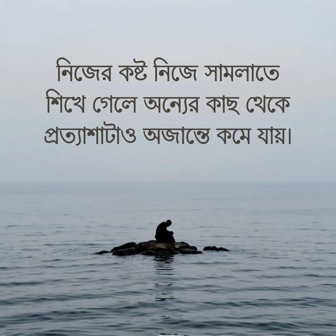 bastobotar caption
