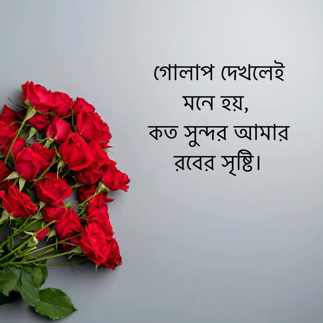 গোলাপ ফুল নিয়ে ইসলামিক ক্যাপশন