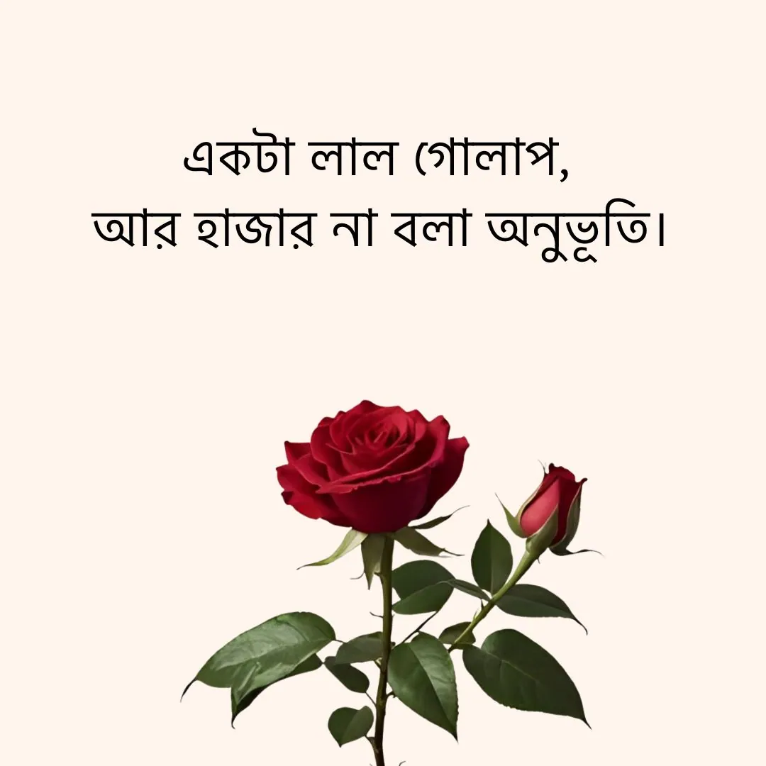 গোলাপ ফুল নিয়ে ক্যাপশন