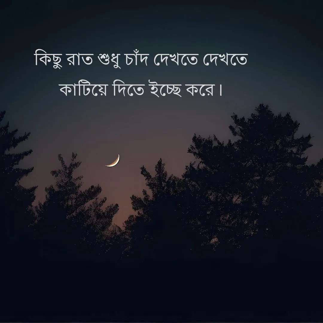 চাঁদ নিয়ে ক্যাপশন
