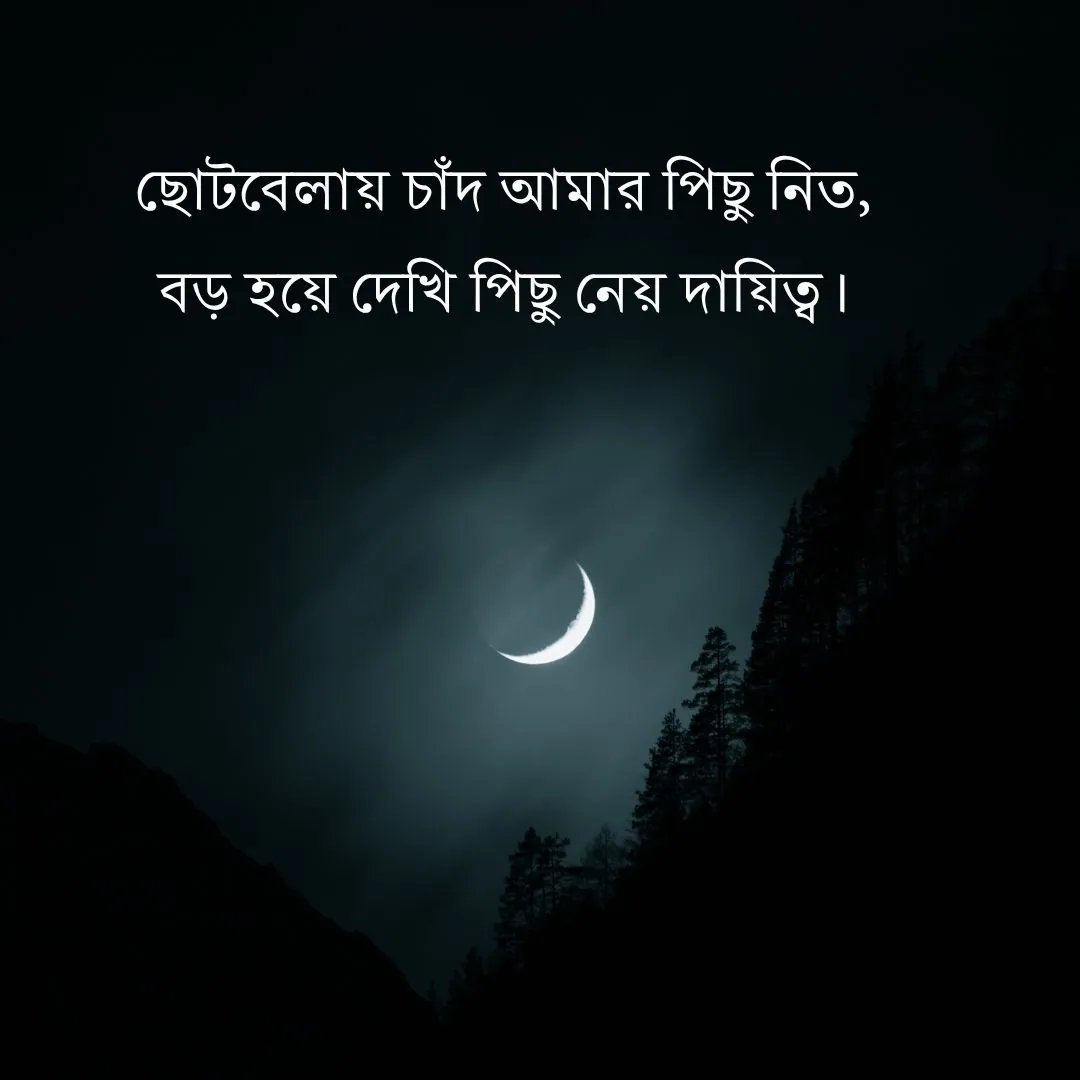 চাঁদ নিয়ে স্ট্যাটাস